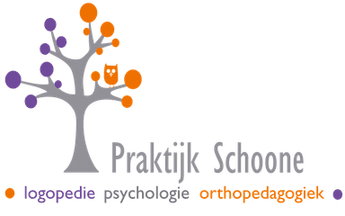 Praktijk Schoone logo